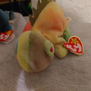 Iggy Beanie Babie